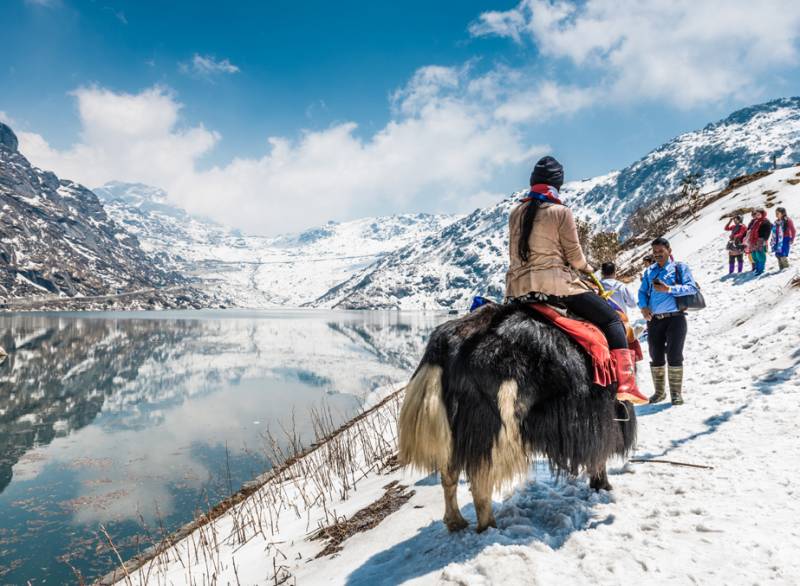 Darjeeling Gangtok Pelling Lachung (7Nights/8Days)