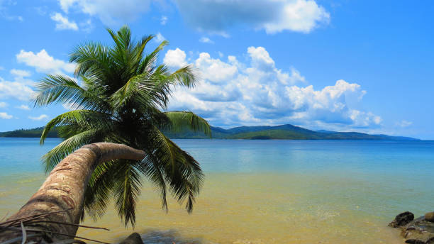 AMAZING ANDAMAN (PORT BLAIR: 4 NIGHTS & HAVELOCK: 1 NIGHT)