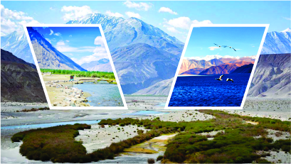 Leh - Khardungla Pass - Nubra Valley - Pangong Lake - Leh, (WITH PANGONG NIGHT STAY)