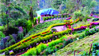 Munnar - Thekkady - Alleppey (KL-02)