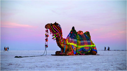 LITTLE RANN OF KUTCH WITH GRATER RANN OF KUTCH (GJ-07)