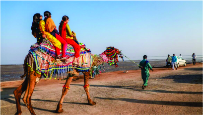 GUJRAT EXTRAVAGANZA PACKAGE (GJ-09)